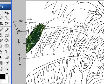 Creation of Rain Forest: Step 3